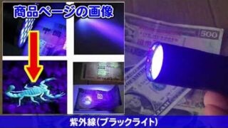Thumbnail of post image 079